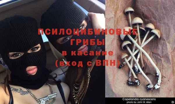 прущая мука Володарск